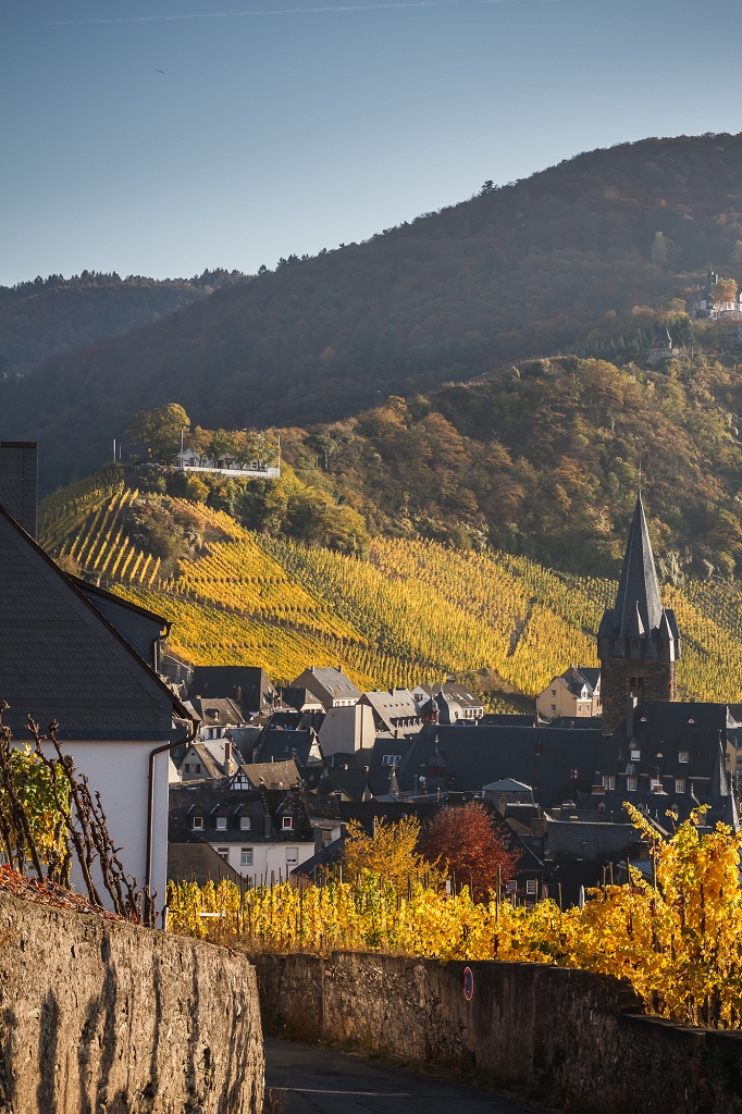 Bernkastel Landschaft